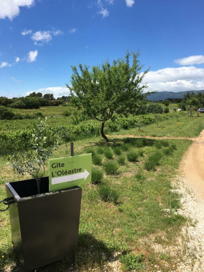 L'oleastre En Luberon Ferienhaus